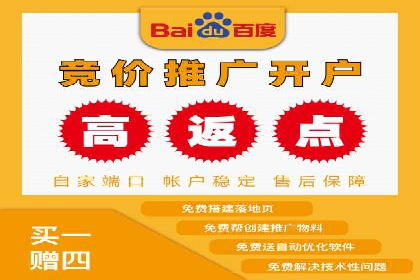 推广竞价策略优化：借鉴经典案例提升效果