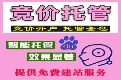 百度推广平台操作指南：案例解读，快速掌握要领